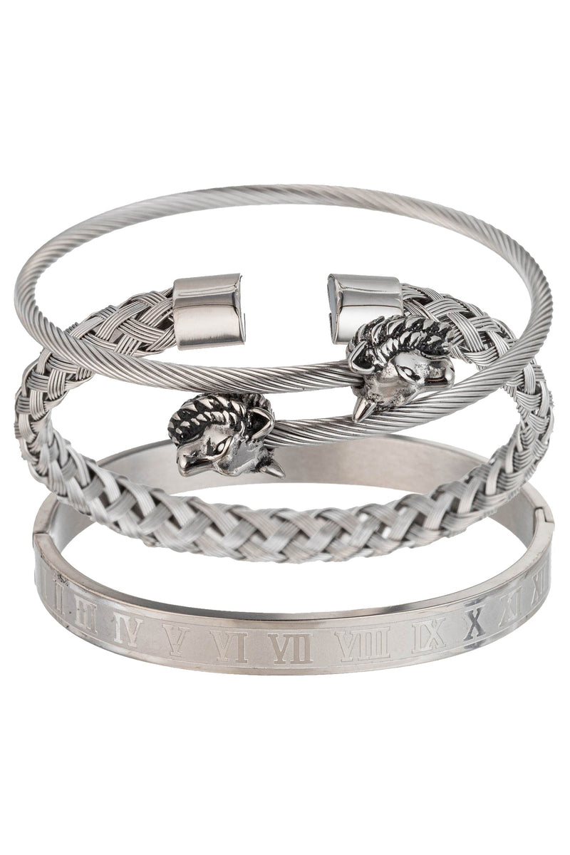 Silver Lion 3 Piece Bracelet Set
